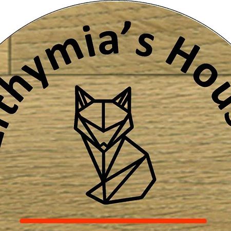 Efthymia'S House - Τζάκι & Parking Apartment Synikia Mesi Trikalon Exterior photo